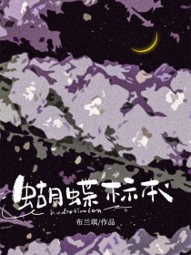 蝴蝶标本能带上飞机吗
